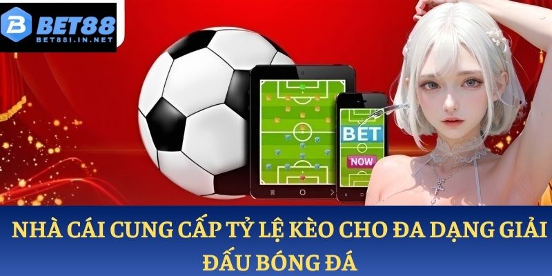 Nhà cái cung cấp tỷ lệ kèo cho đa dạng giải đấu bóng đá